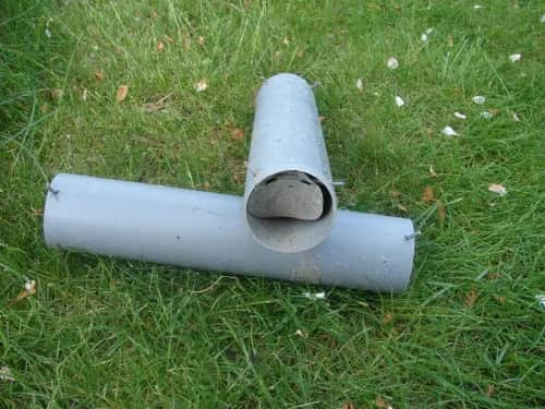 Jak złapać kreta łopatą - skuteczne metody i pułapki, które działają